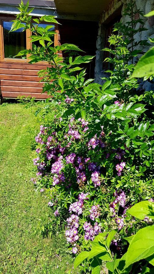 Antonowka Villa Trybsz Екстериор снимка