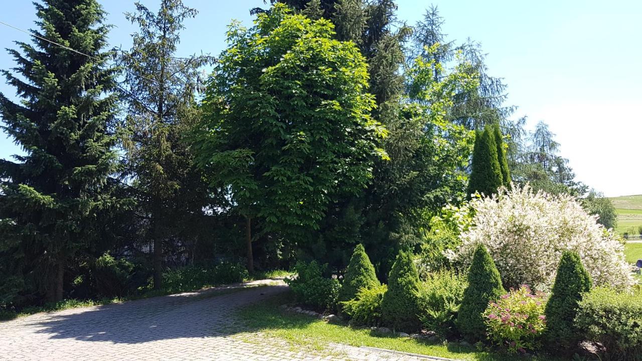 Antonowka Villa Trybsz Екстериор снимка